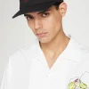 Basile B