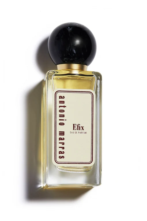 Efix