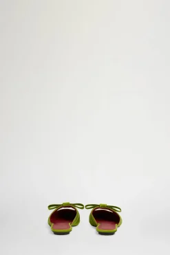 Zinnia Verdi