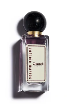 Ziqqurath